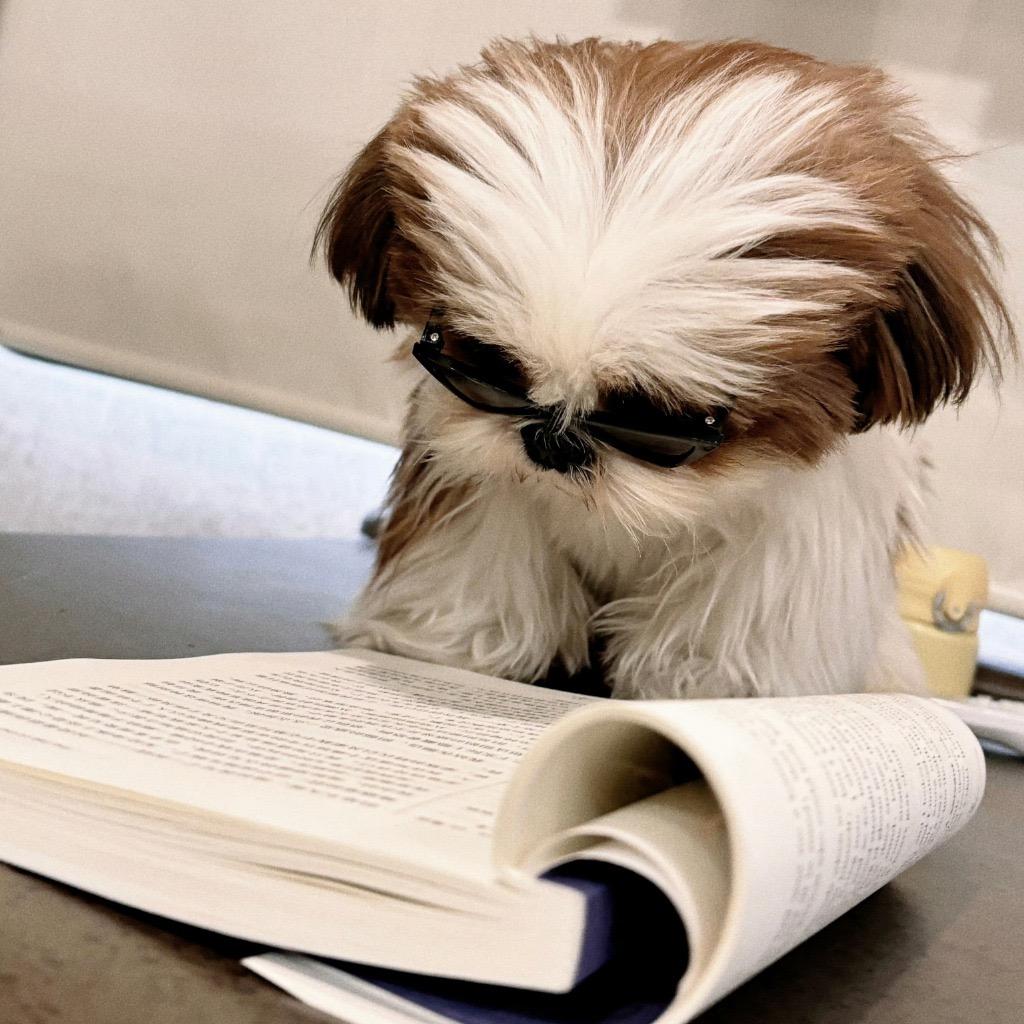 A     💄 不美不媚不温柔👄