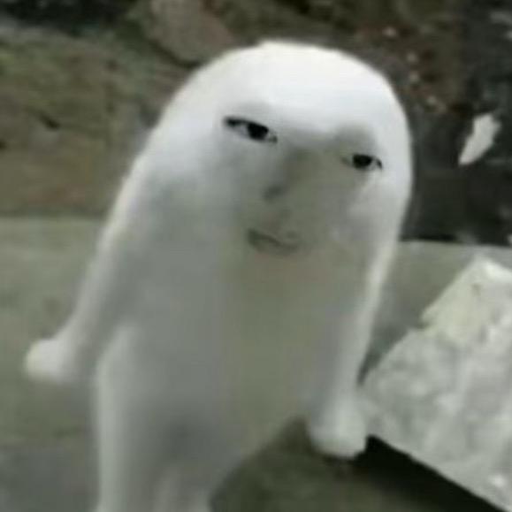 漂亮女孩