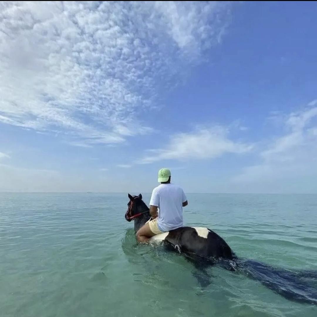 黄掌柜的床品店