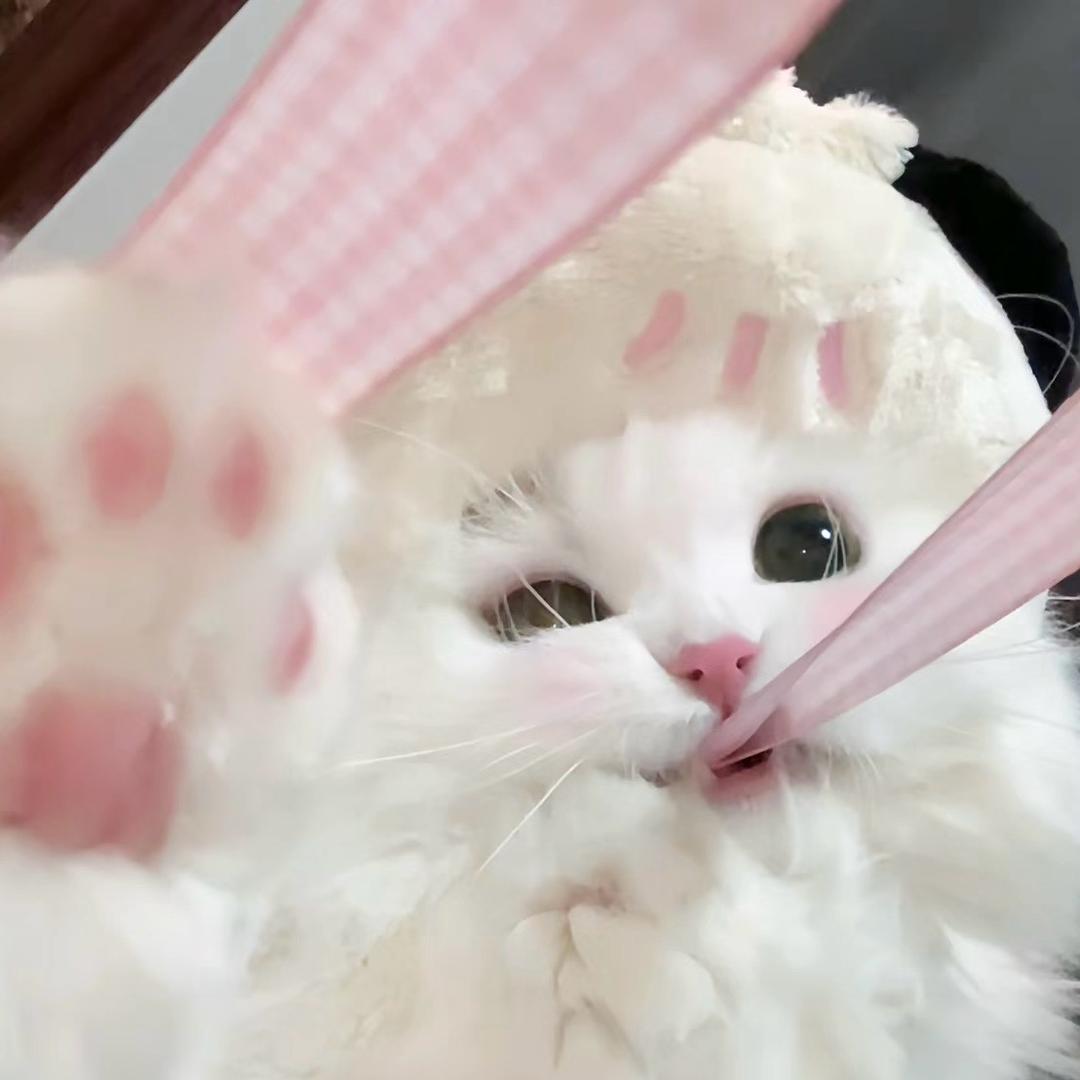 依依、
