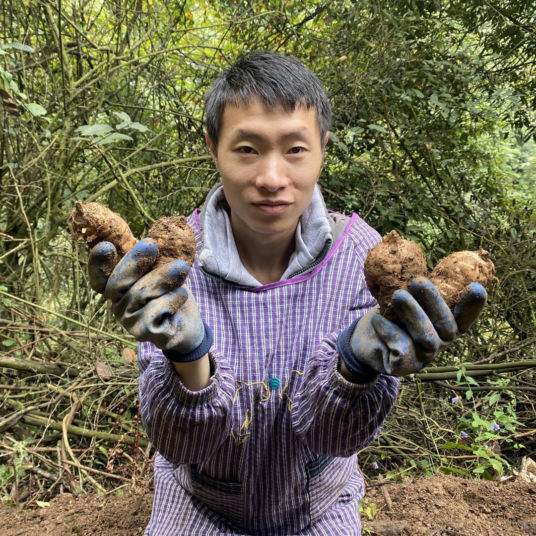 陈三农产品(小草坝乌天麻）