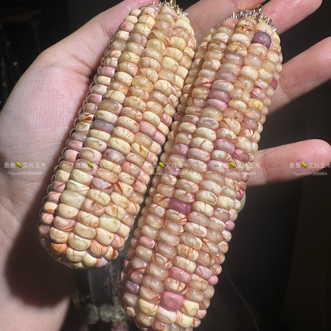 鱼鱼的小玉米