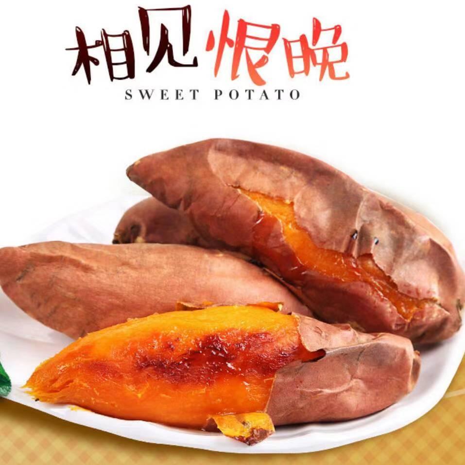 正宗山东烟薯供应商