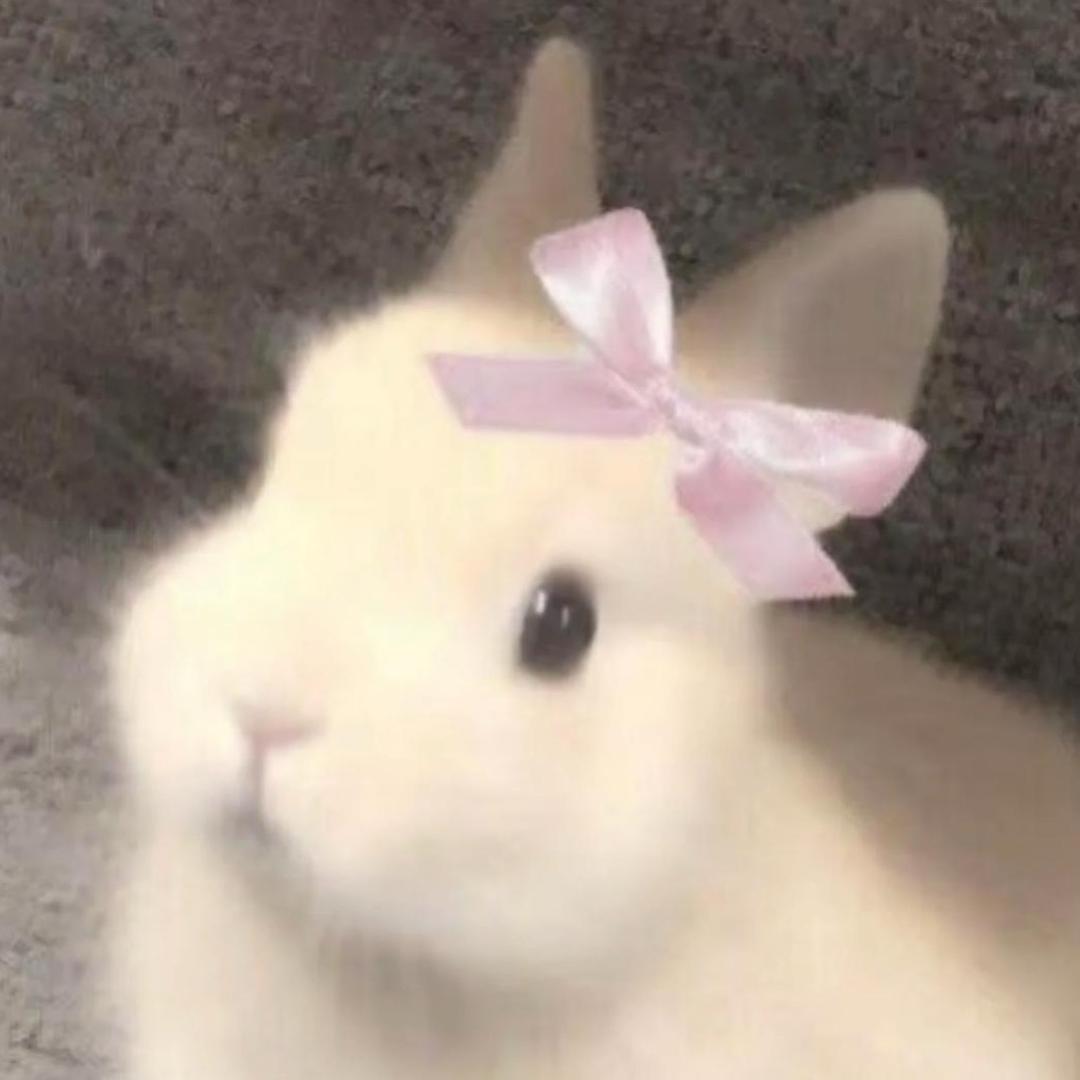 泡面大人
