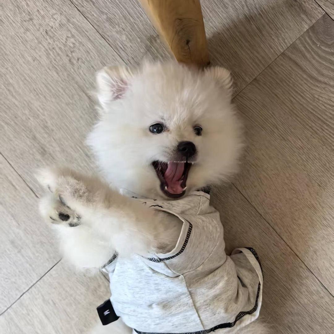 随记