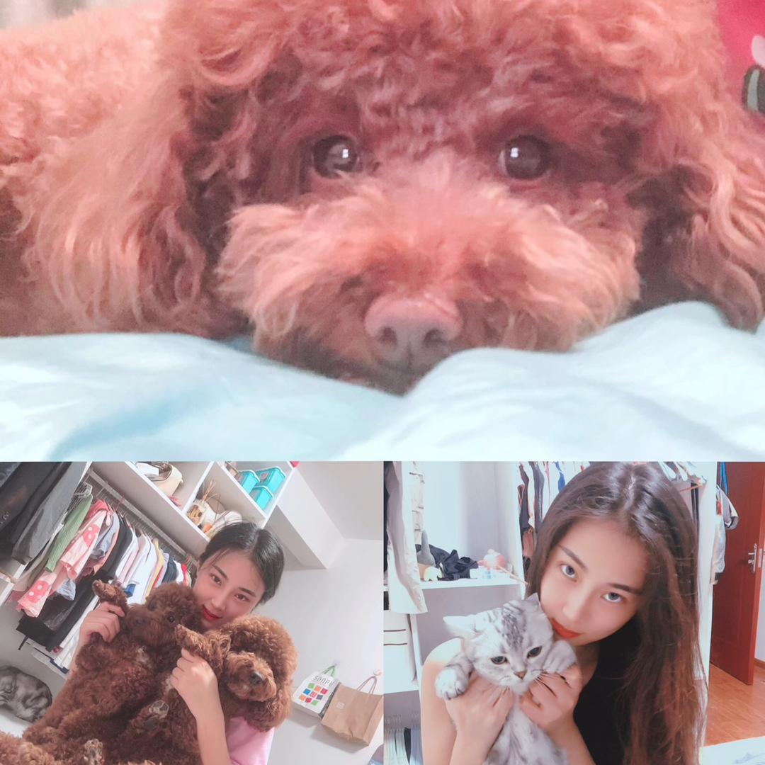 女帝的猫