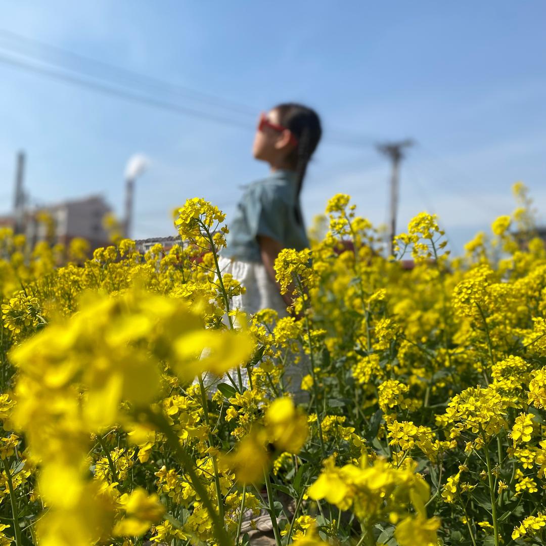 菡&禹经纪人
