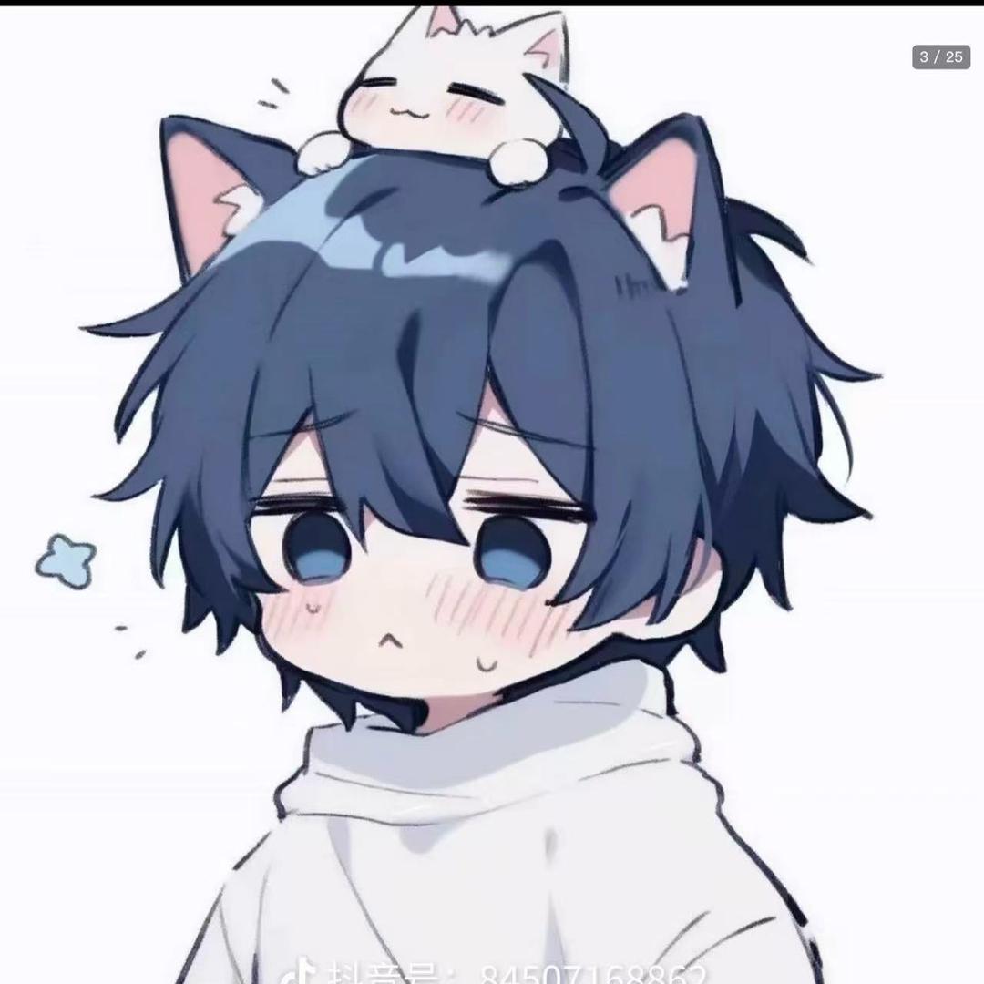 风风风