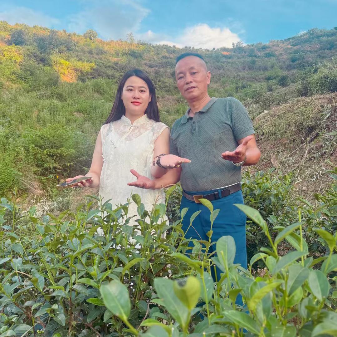 鼎哥小妖精