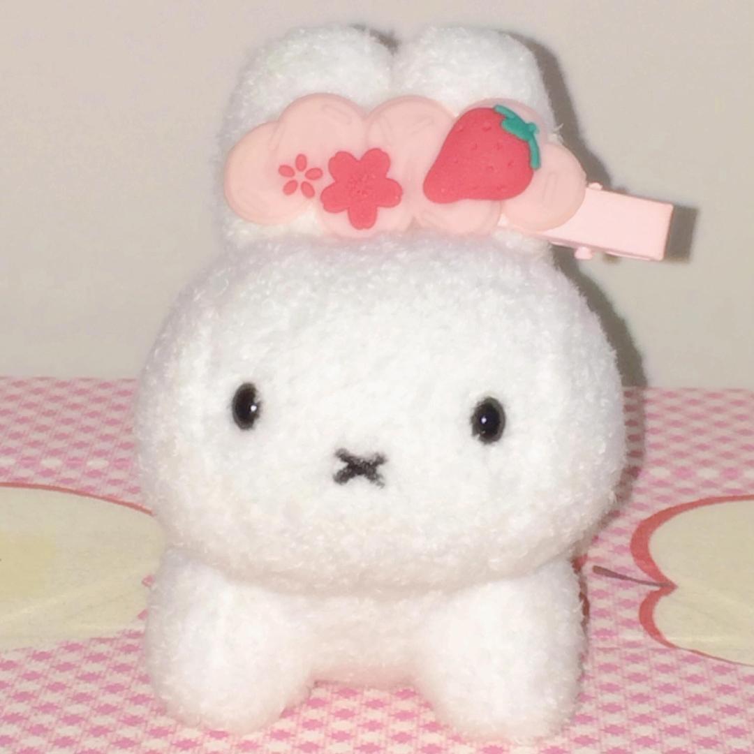 山芋兔兔