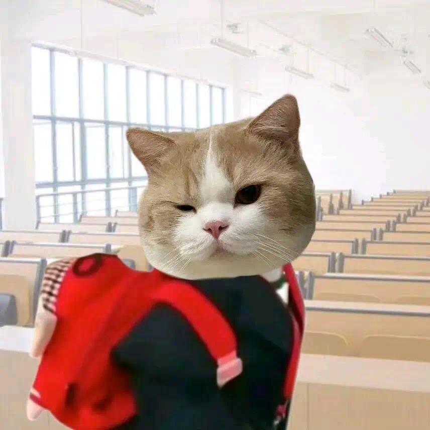 吃了会平安顺遂的苹果🍎