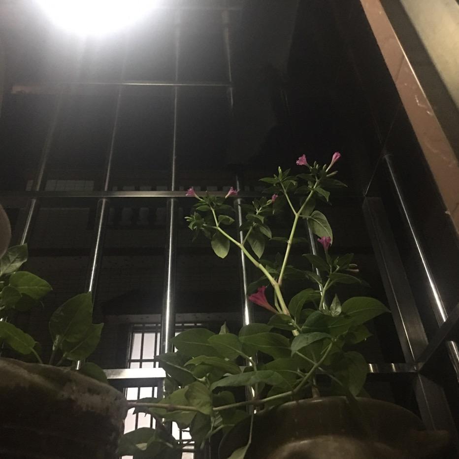 八酒不离色