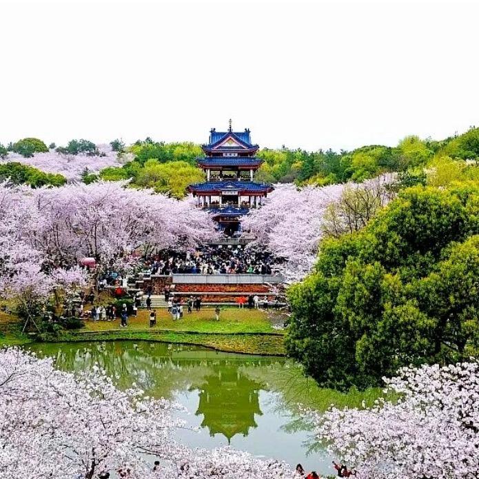 小玩家旅行🌸