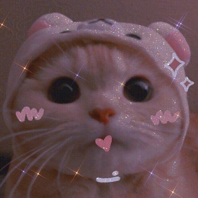 萌仔加油吖✨