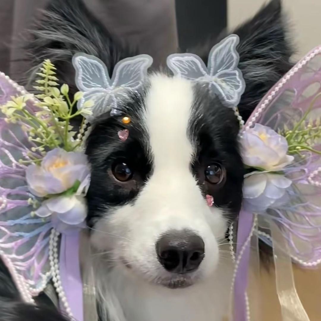 我会魔法