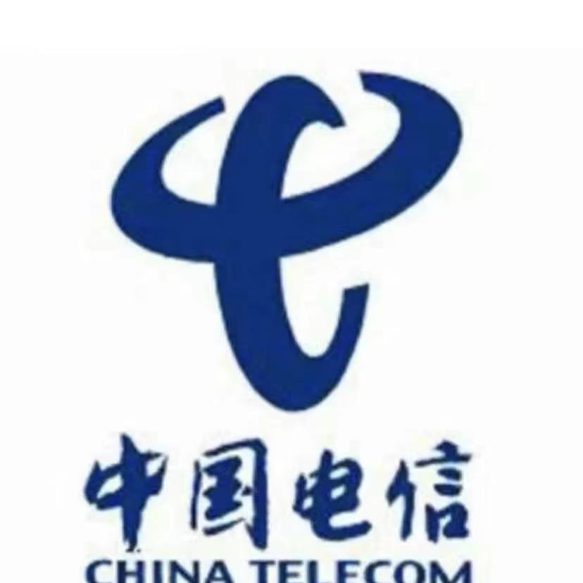 重生我在电信当牛马