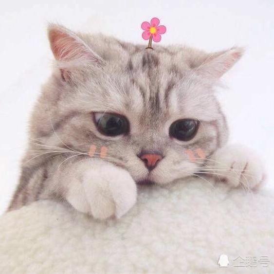 下一个秋