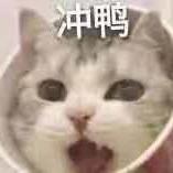 东东0105