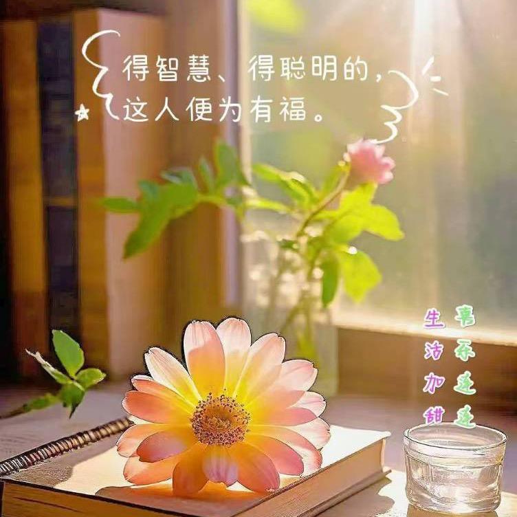 @静待花开🌸