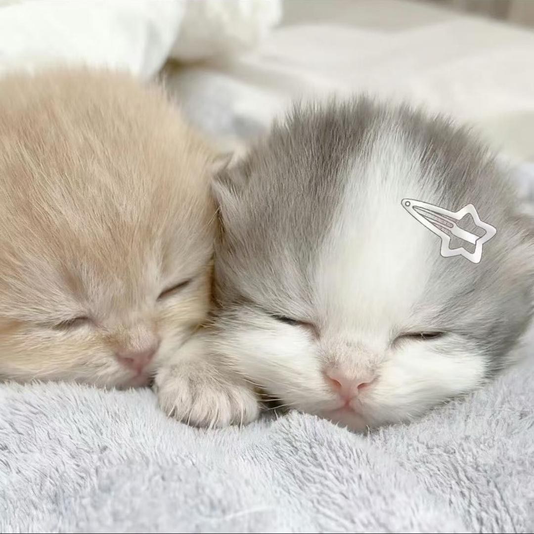 同学别再念我网名了