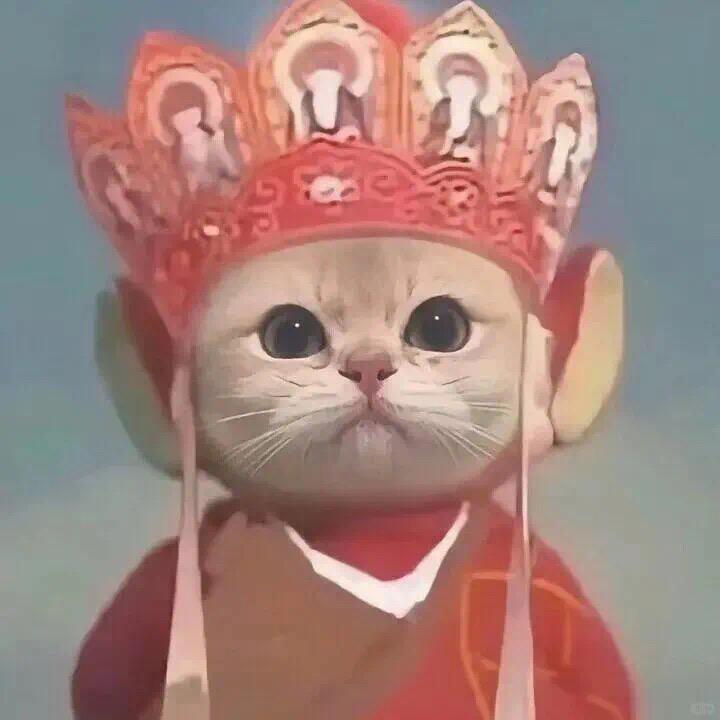别在掉头发了