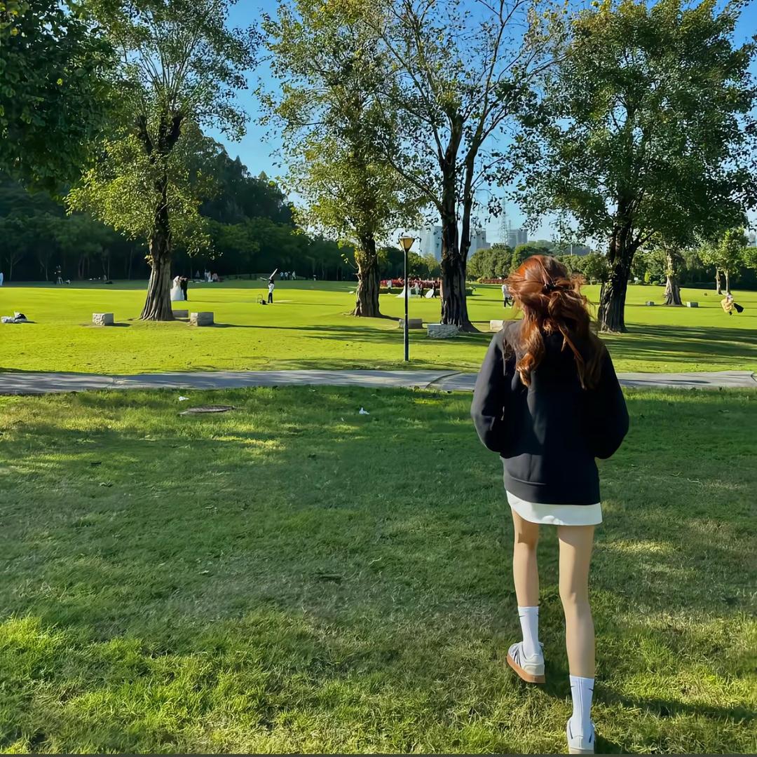 一只鸽🕊️