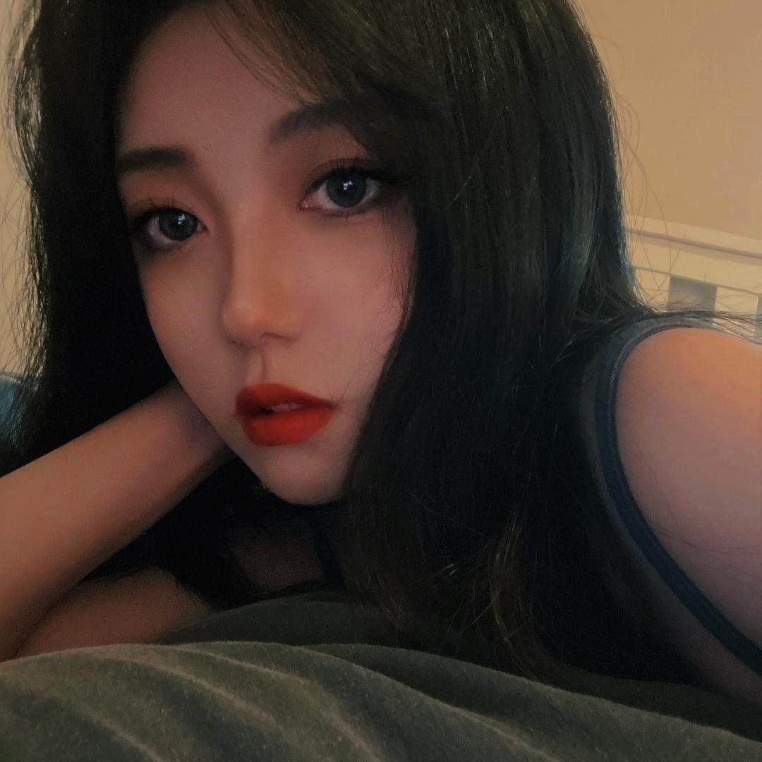 丛林中的一只猫