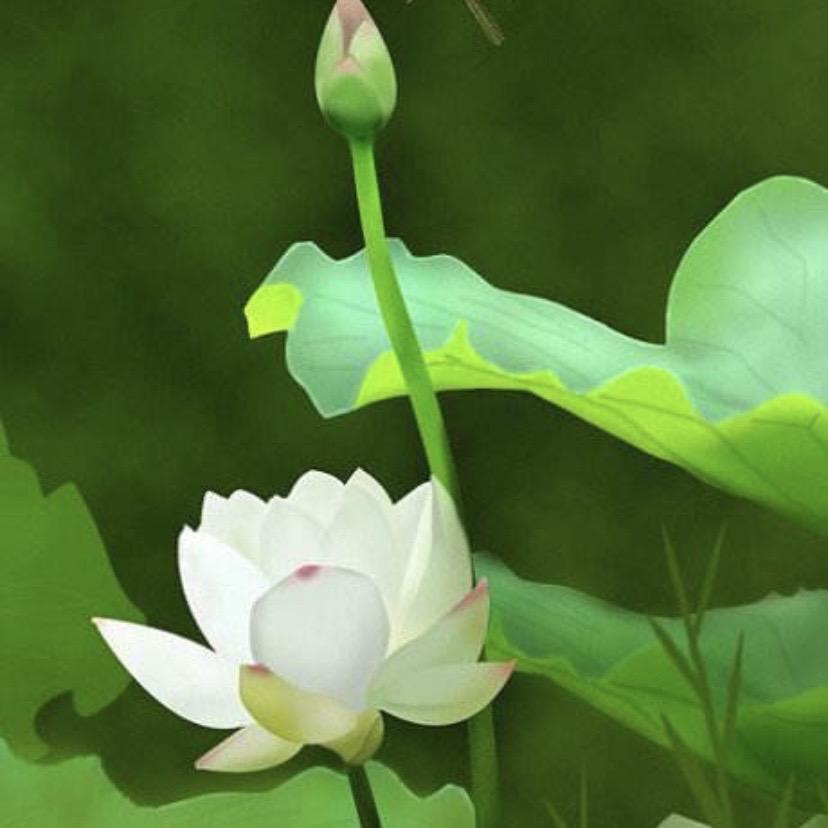 🙏😌平静如水