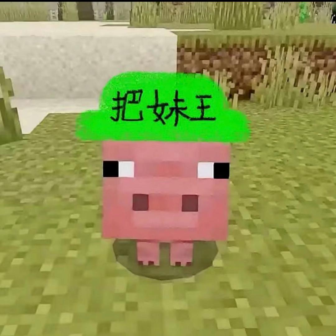 请叫我睡仙.zzz.