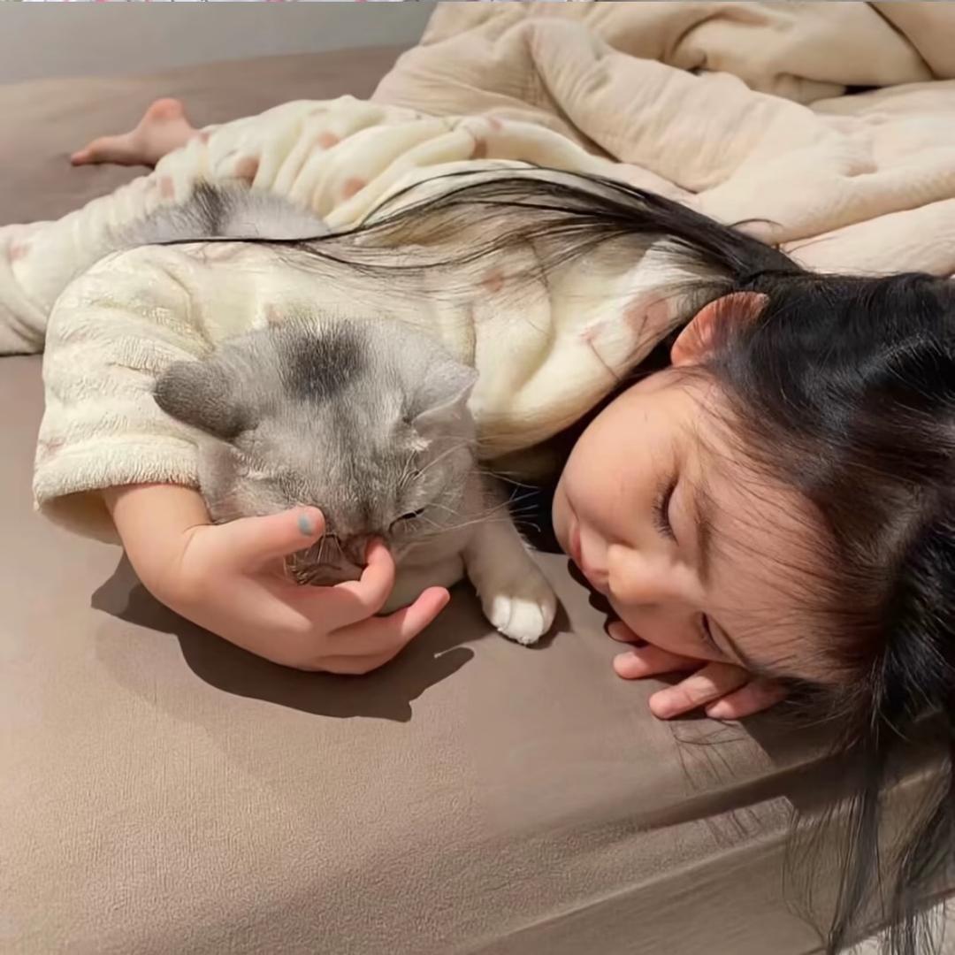 今天抢到饭了嘛