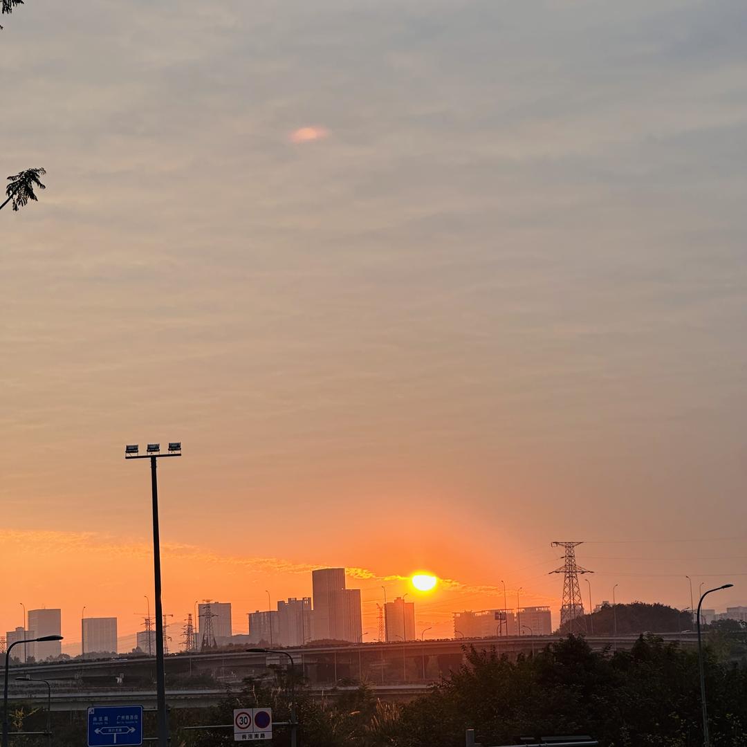 果燃是昭通苹果