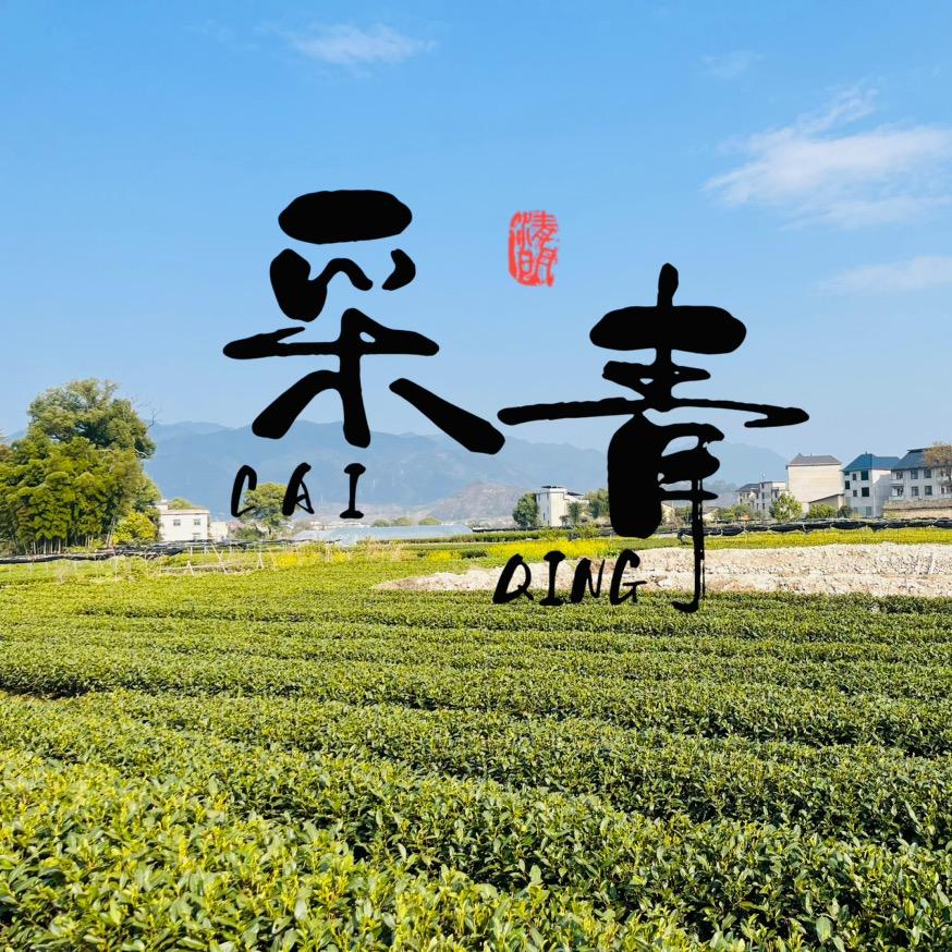 采青茶叶
