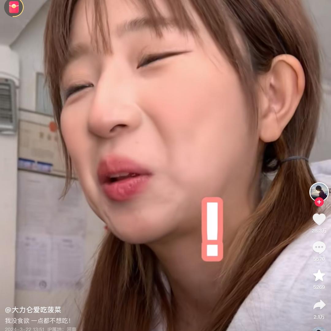 有凤来仪