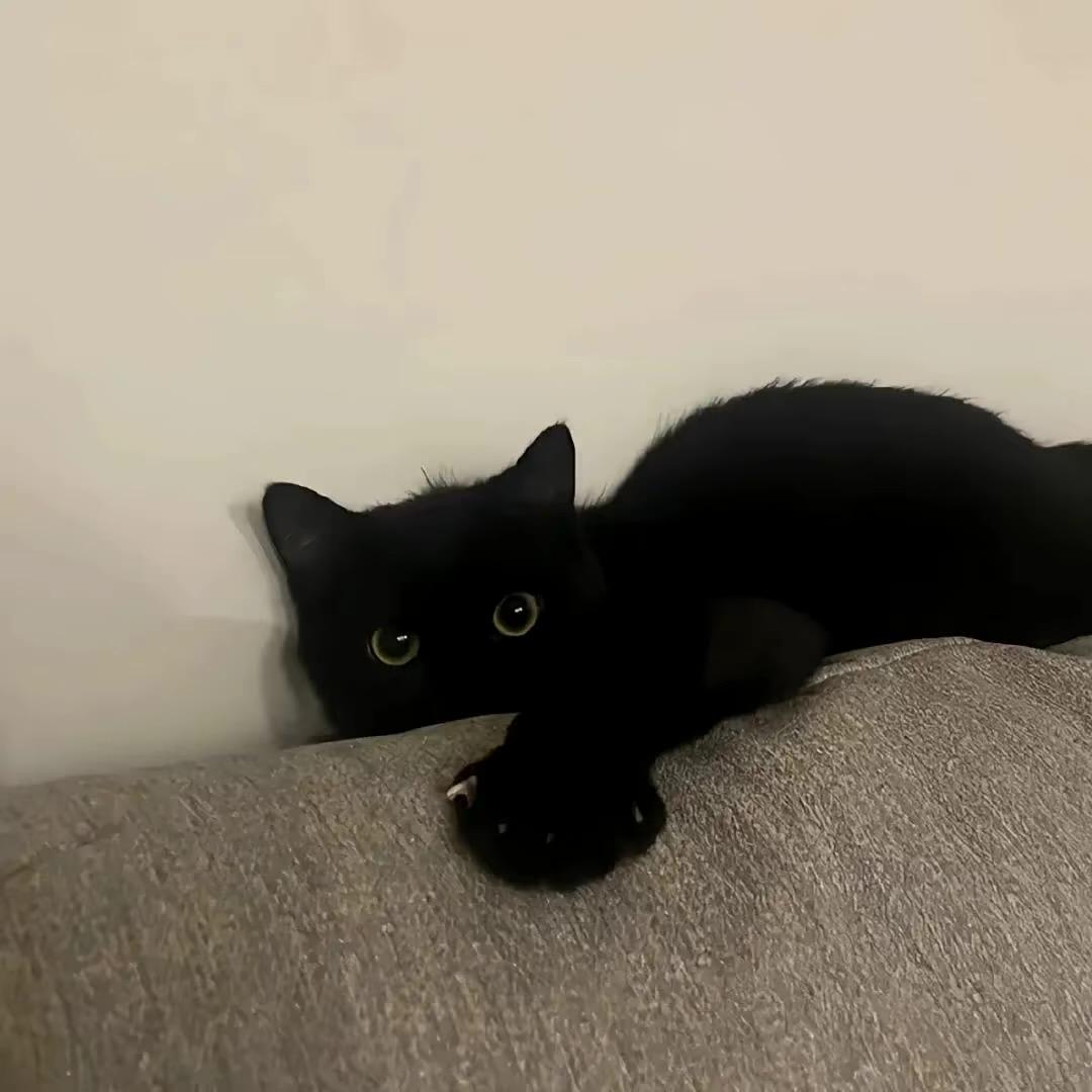 糖醋小排顾🍖.