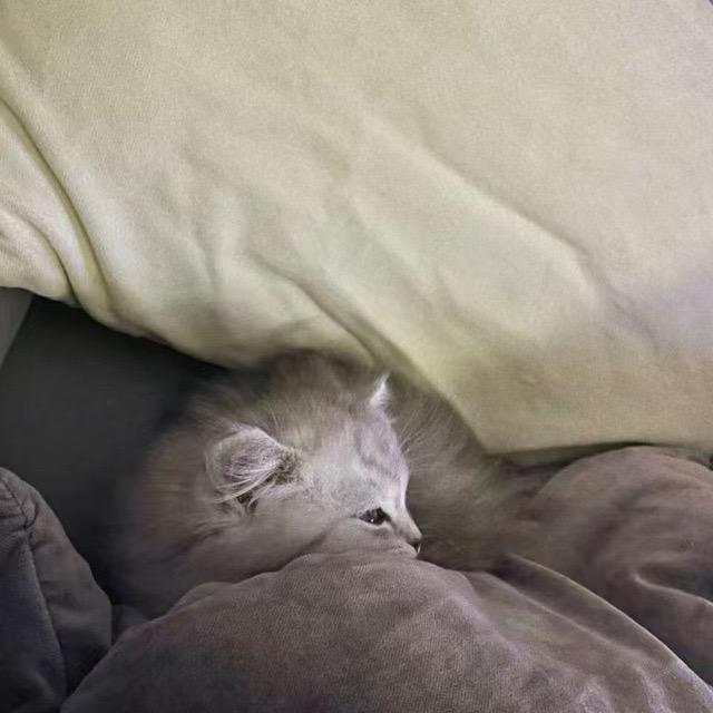 慢慢
