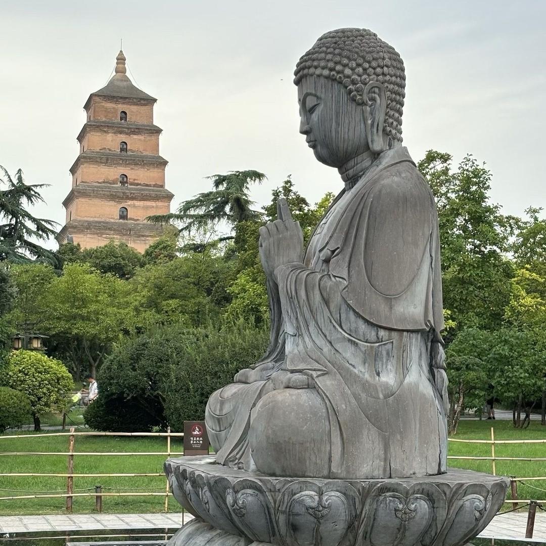 ⠀⠀      换了人间☭