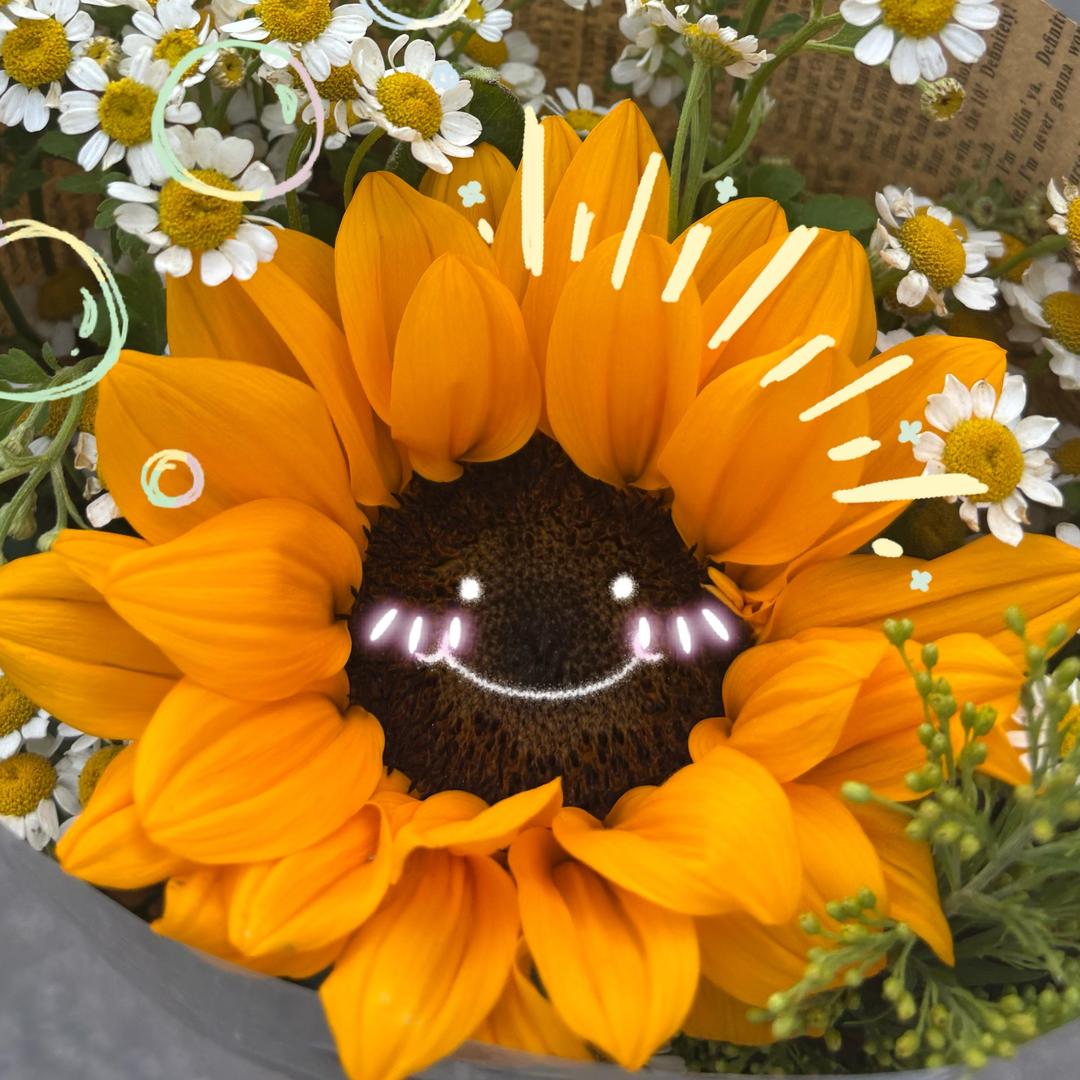 启夏小葵花升学