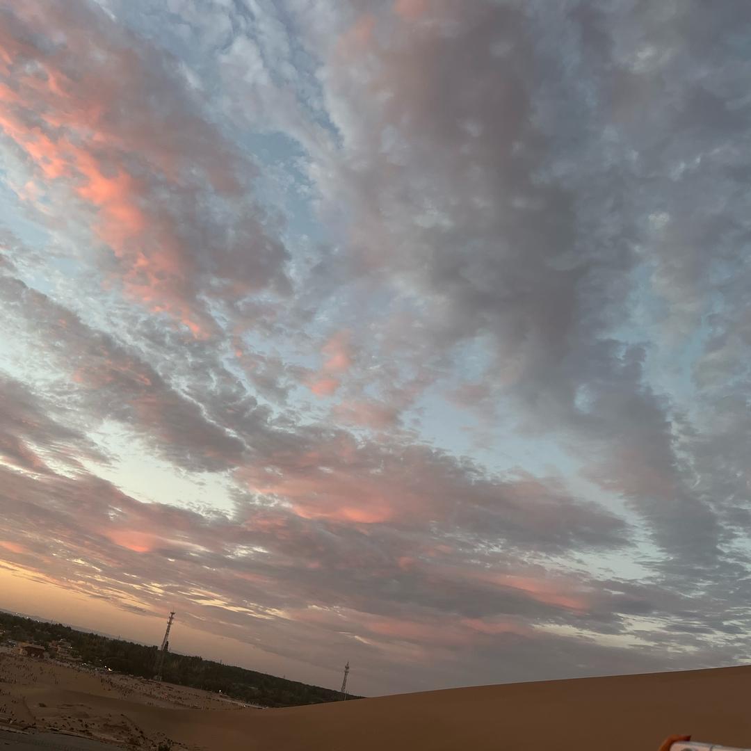 又菜又爱玩（王者打野）