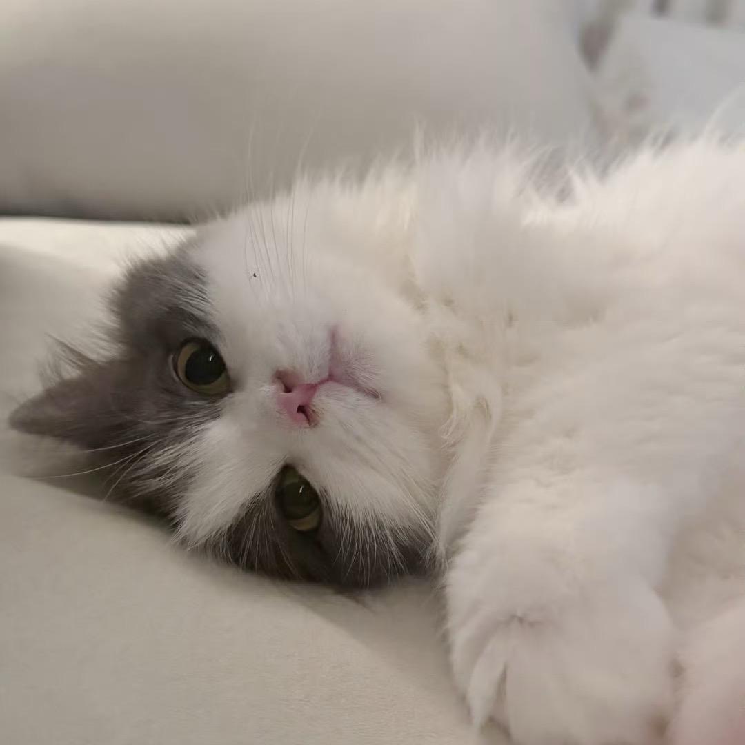 XIao杰💙