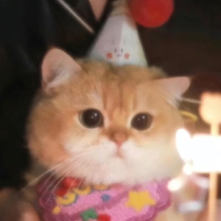 7Y._