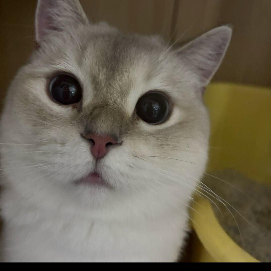 吸一下