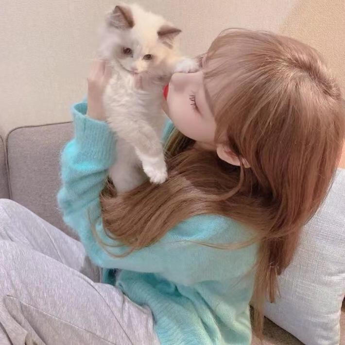 🐰兔。🤍