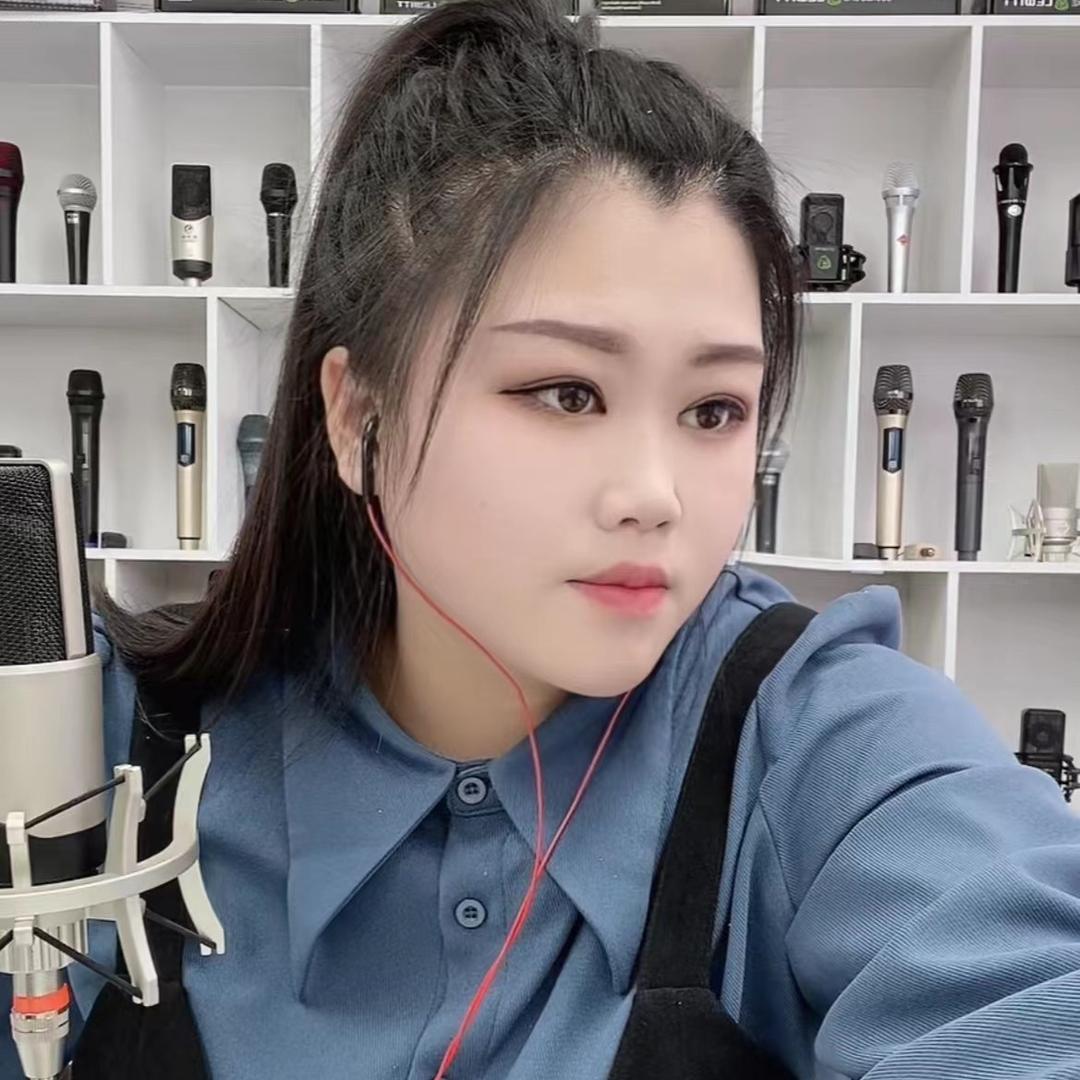 森栢乐小青声卡数码音频