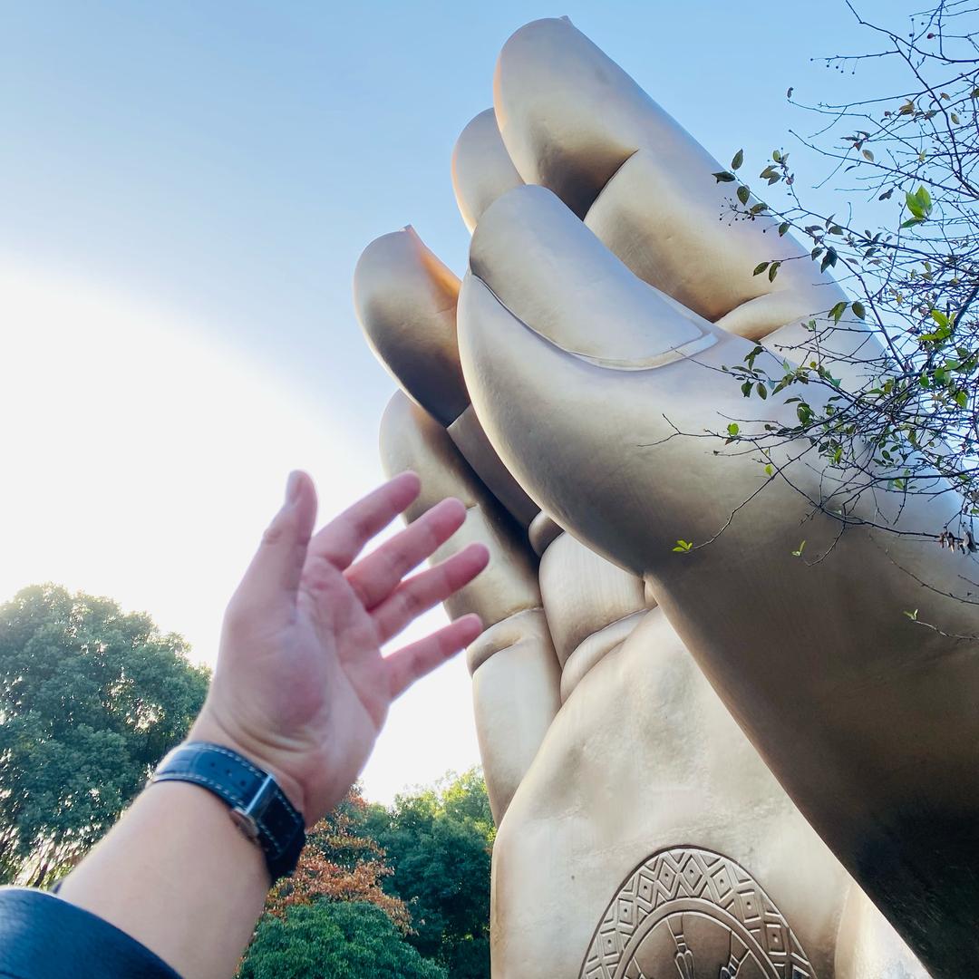 ——山鸟与鱼🐟