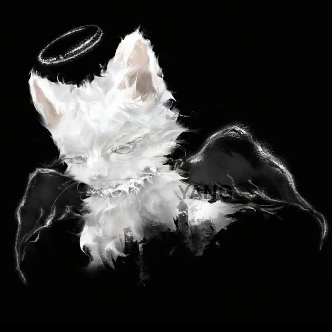 洋