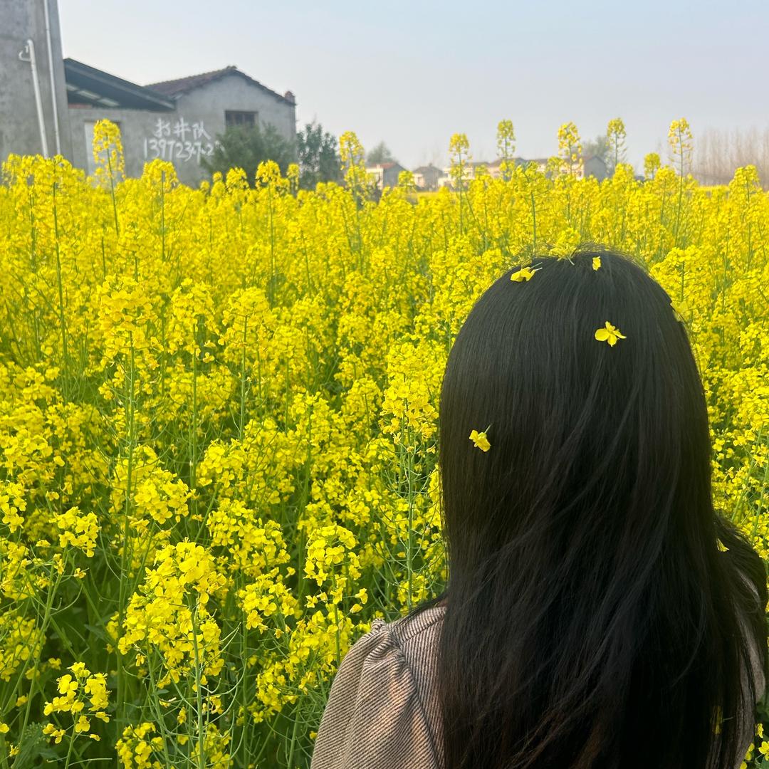 生生不息