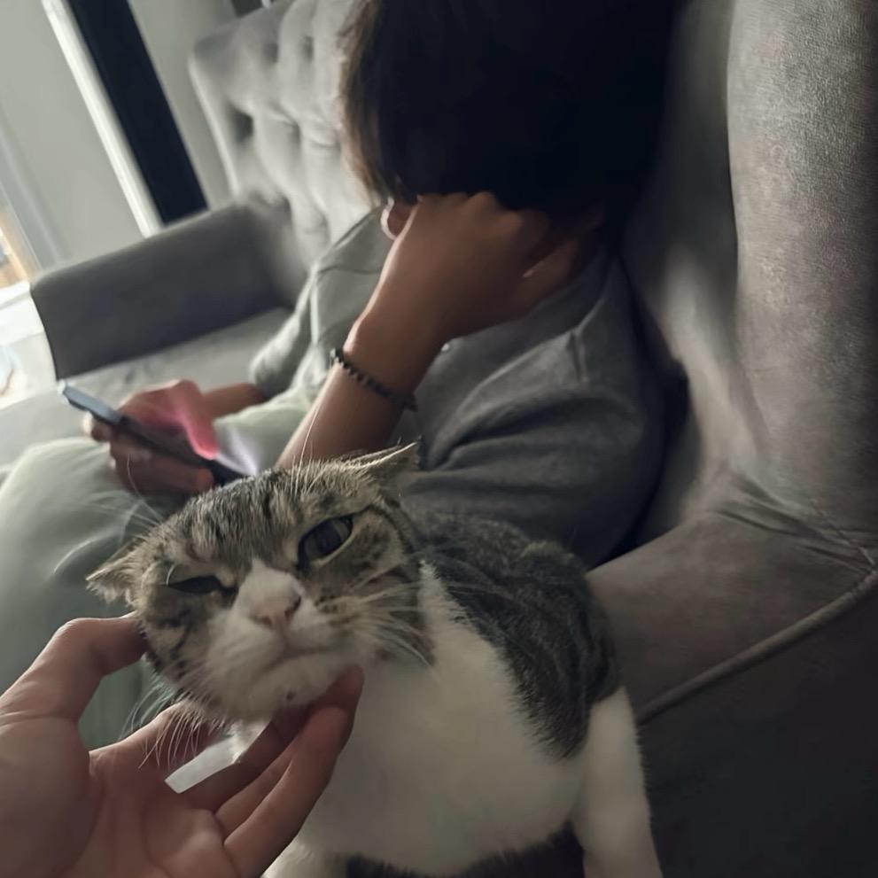 半点鱼