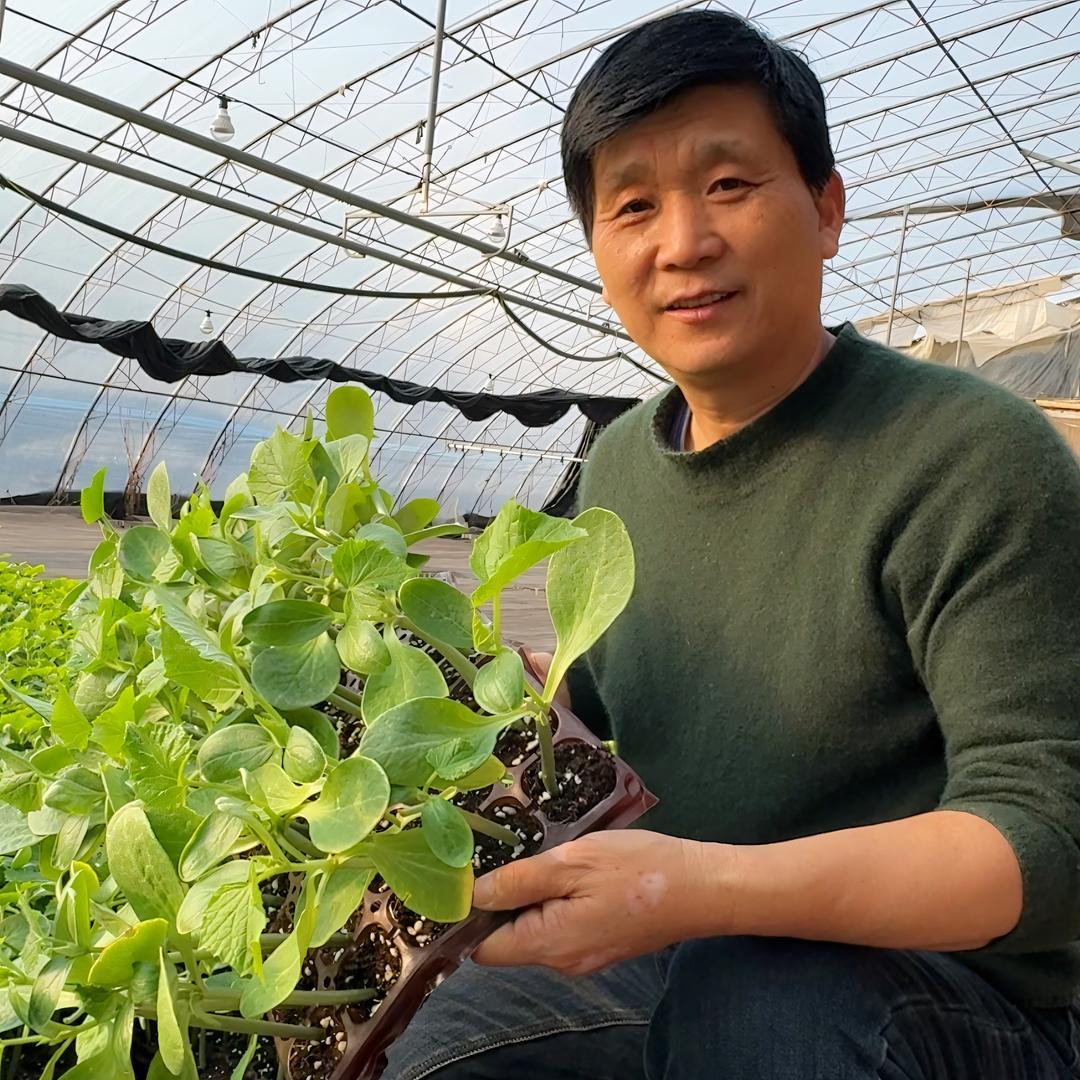 科茂种苗