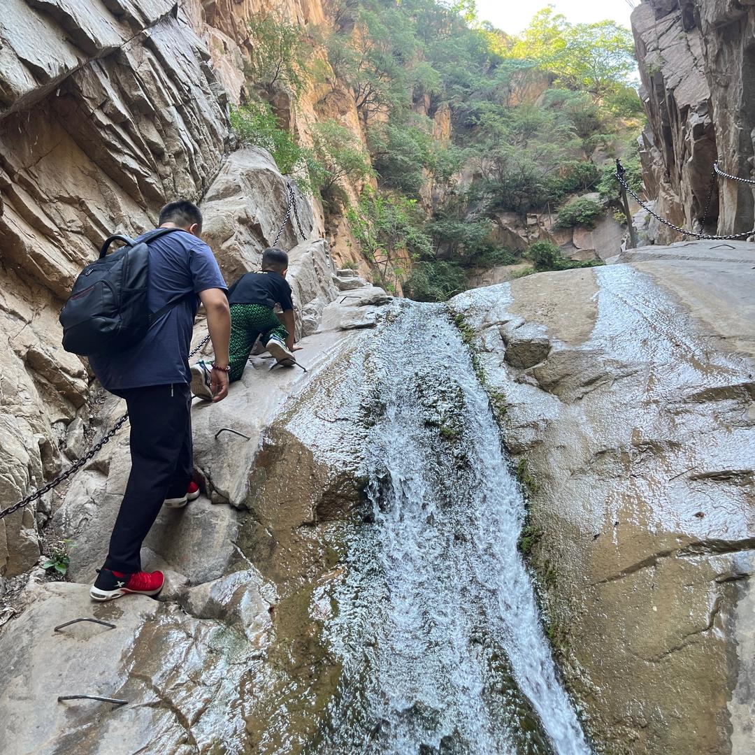 张大胖的欧小胖💍💍💍