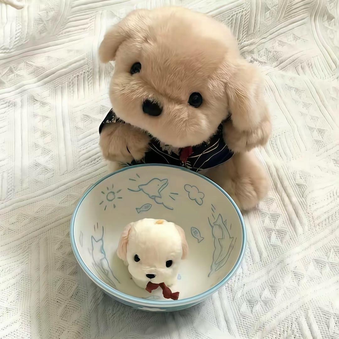 琪